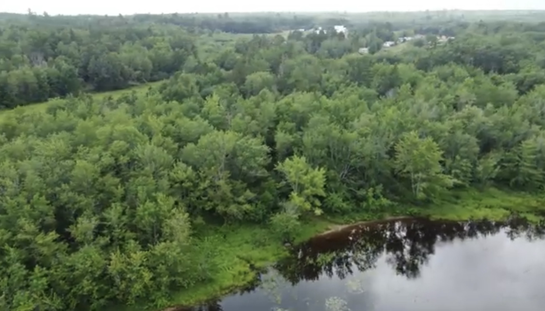 Coy Lake